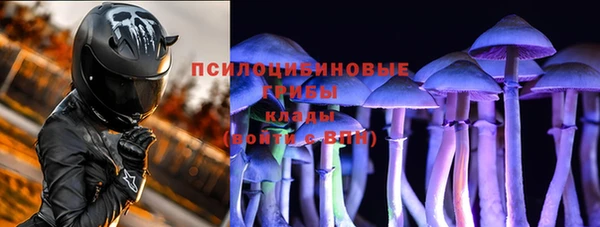 хмурый Ладушкин