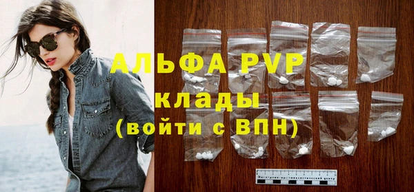 хмурый Ладушкин