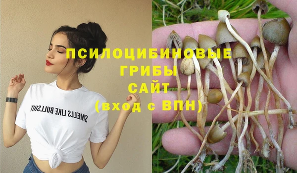 хмурый Ладушкин