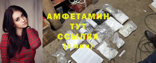 хмурый Ладушкин