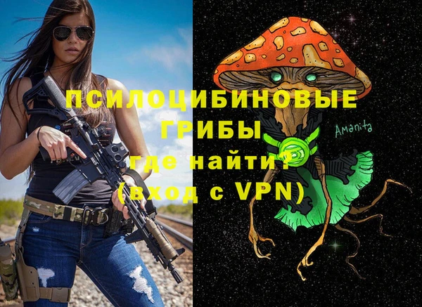 прущие крисы Лабытнанги