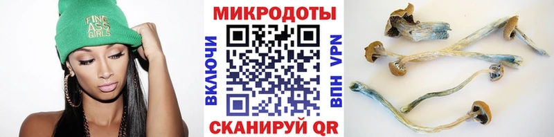 Псилоцибиновые грибы GOLDEN TEACHER  Купить  Заозёрный 